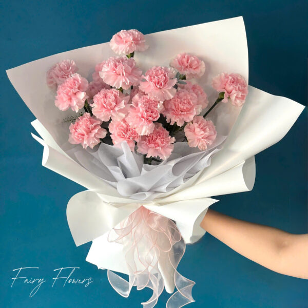 Bó Hoa Cẩm Chướng Hồng MS006