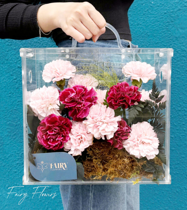 Hộp Mica Hoa Cẩm Chướng Màu Hồng MS1