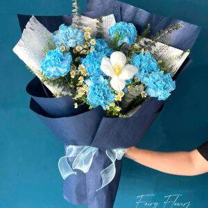 Bó Hoa Cẩm Chướng, Tulip Màu Mix MS1