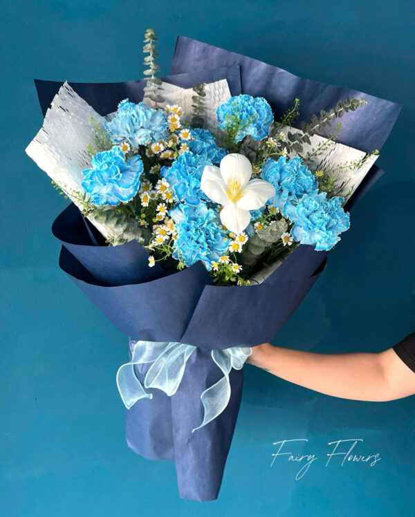 Bó Hoa Cẩm Chướng, Tulip Màu Mix MS1