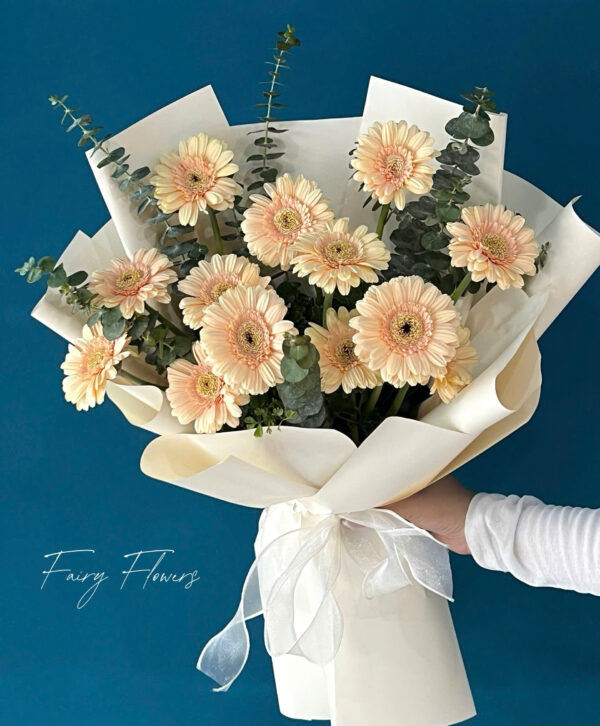 Bó Hoa Đồng Tiền Màu Capuchino MS1