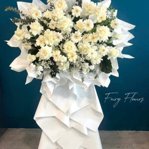 Kệ Hoa Hồng, Đồng Tiền Màu Trắng MS1