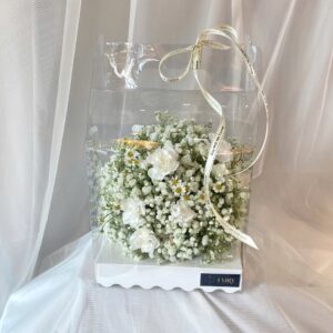 Hộp Hoa Tươi Màu Trắng - Baby, Cẩm Chướng MS220