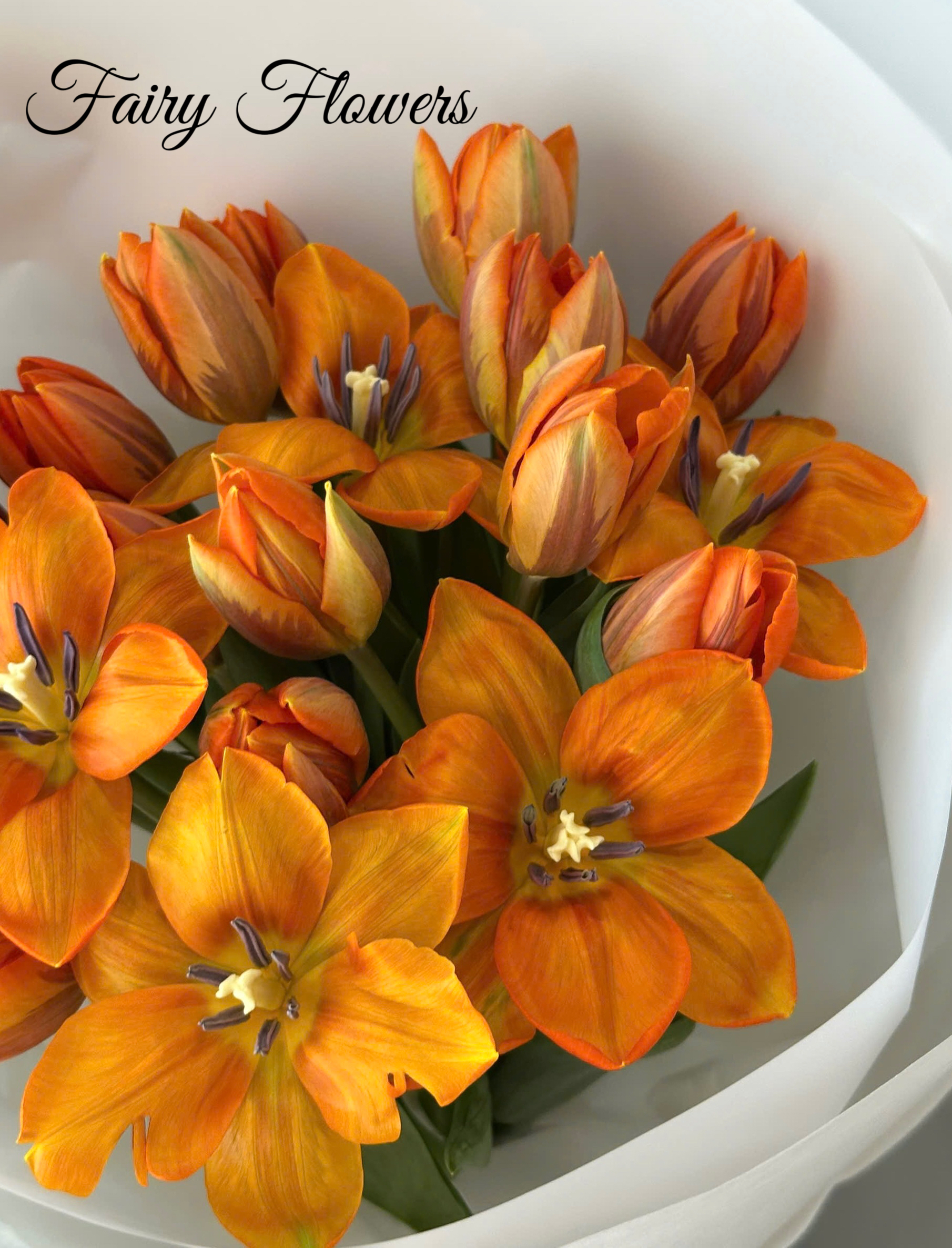 Bó Hoa Tươi Màu Cam - Hoa Tulip MS265 - Hình ảnh 4